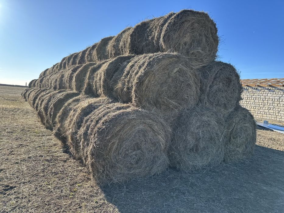 Продам сено в рулонах