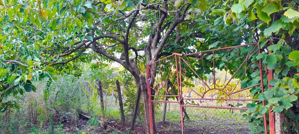 Продава се Парцел в Ямбол, Промишлена зона - 1000 кв.м за 7 €/кв.м - Снимка #1