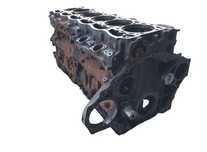 Bloc motor pentru DAF XF106 2016 - Piese de motor DAF