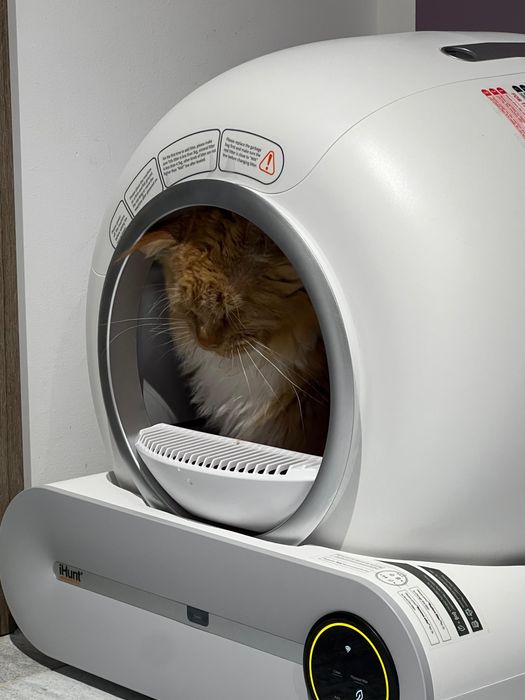 Litiera automata ihunt v1