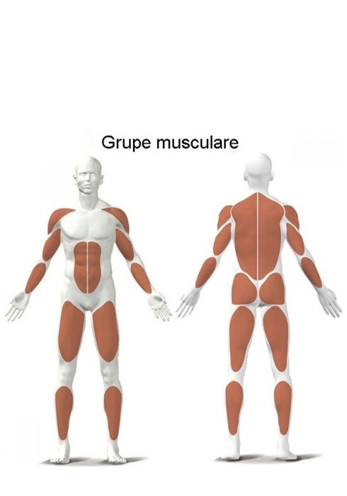 Aparat de vaslit Hammer Pro Force . Anunț valabil pana vineri.