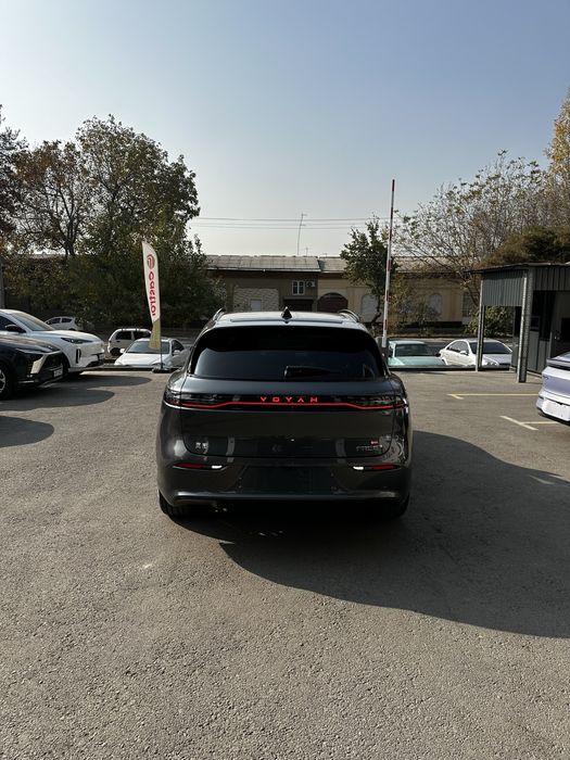 Voyah free 2025 rest full