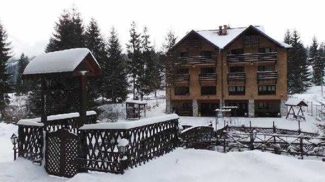 Vindem Pensiune Arieseni, Casa de Vis