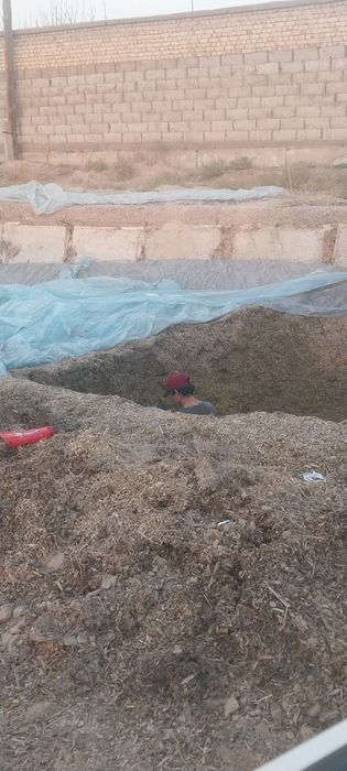 Selos Sotiladi 20 kiloli