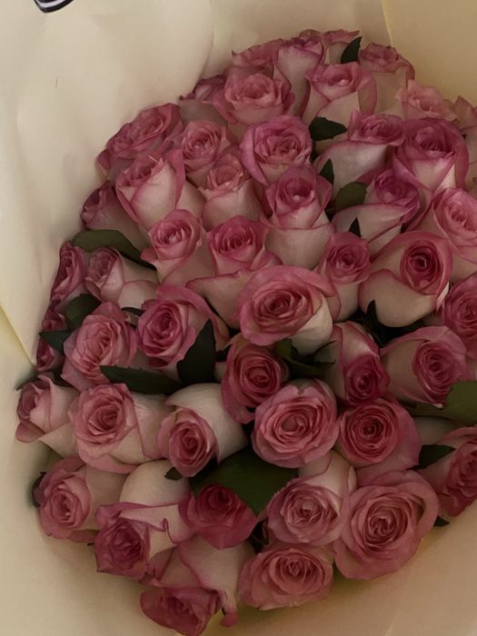розовые розы/10000тг