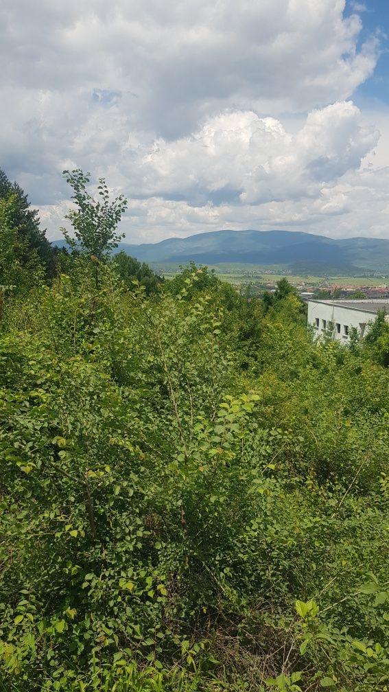 Продава парцел в гр.Кюстендил