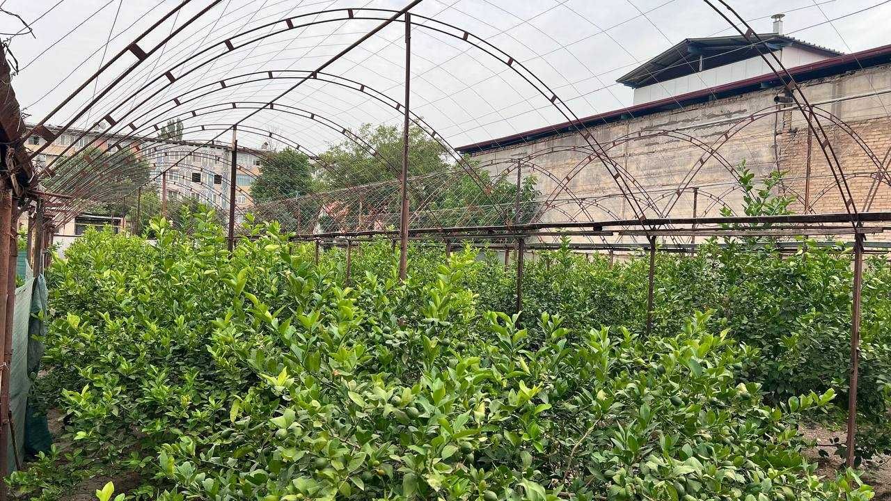 Ер участкаси сотилади/Продается земельный участок