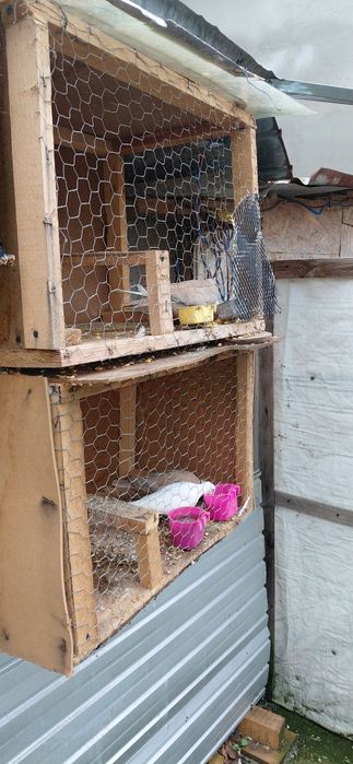 Turturele răzătoare