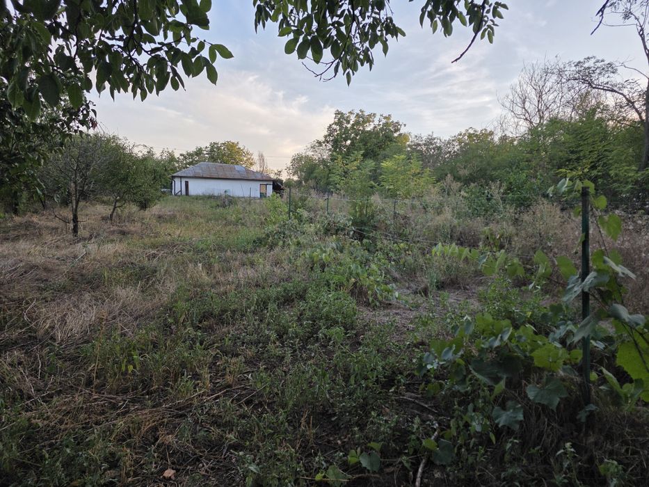 Casa de vanzare Naipu