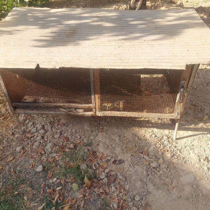 Клетка кафас сотилади