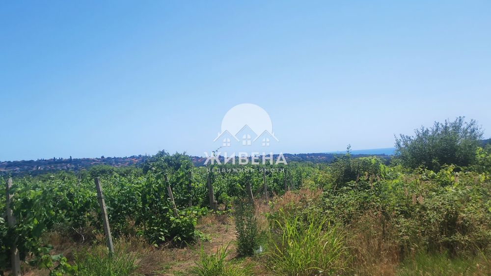 Продава се Парцел в Варна, м-т Боровец - юг - 2925 кв.м за 6 €/кв.м - Снимка #10