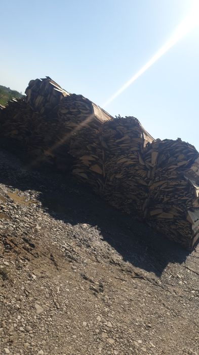 Cherestea LATUROAIE rasinoase