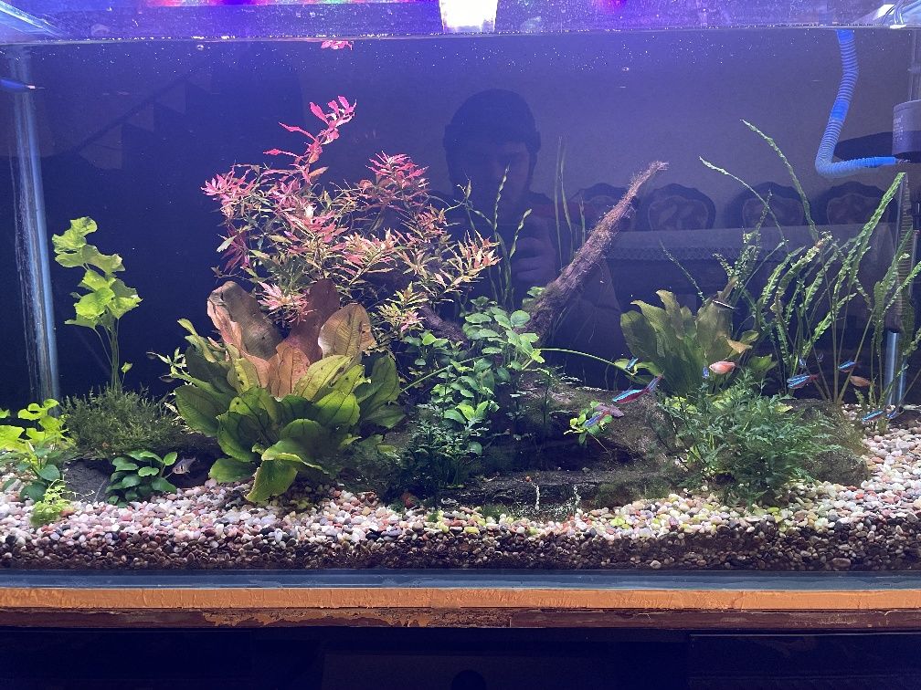 Akvarium 110x60x37.   10mm