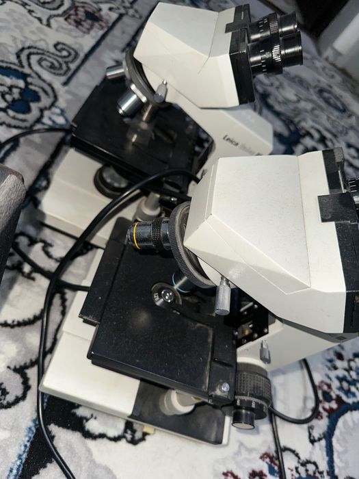 Mikraskob 2 Dona 2 tasiga 1 Milionga Kelib koʻrib olasila Srochno