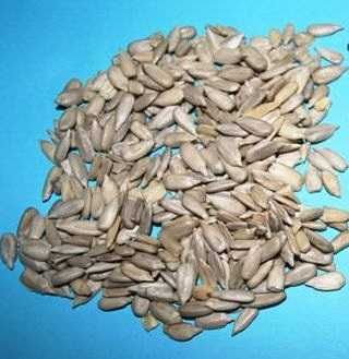 Seminte plante diverse, flori, legume