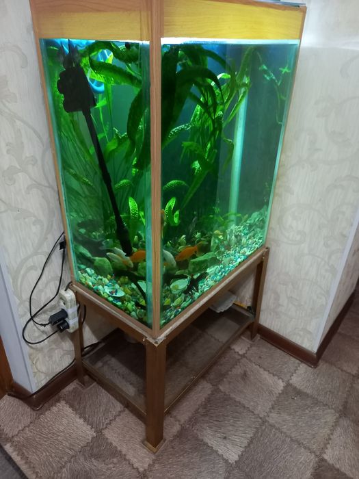 Аквариум продам.