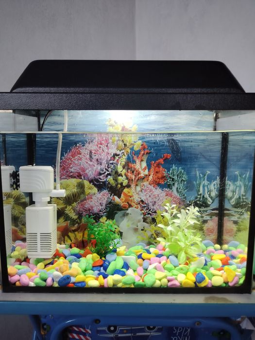 Заводской аквариум с рыбками