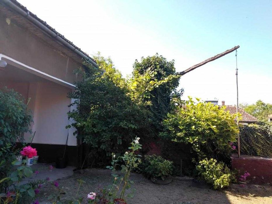 Vând casa cu grădină sat Buhani, jud Arad, 1080mp