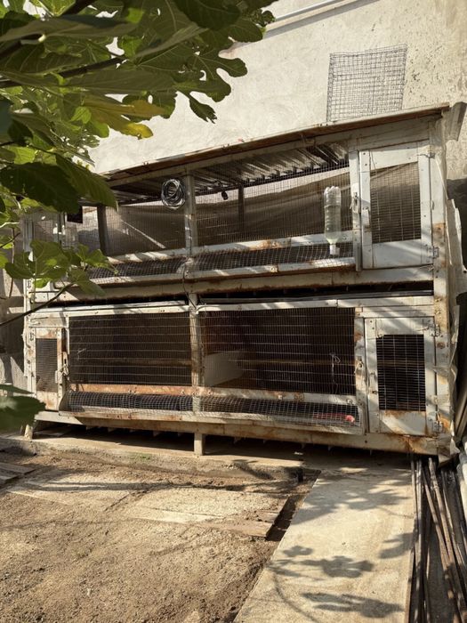 Паррандалар учун кафаслар сотилади