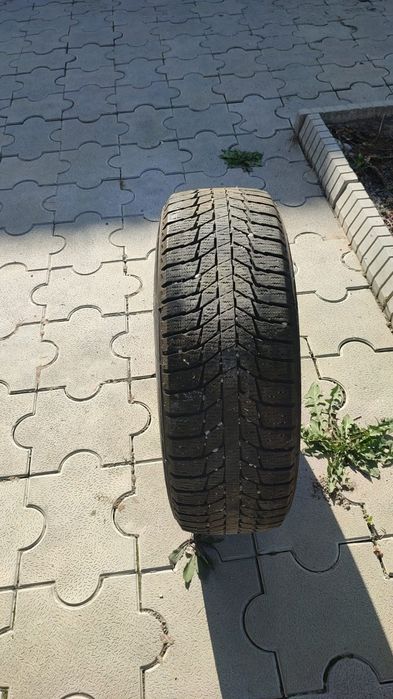Зимние шины triangle