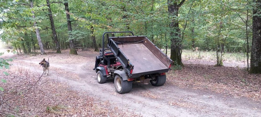 Motoagricola Toro Workman