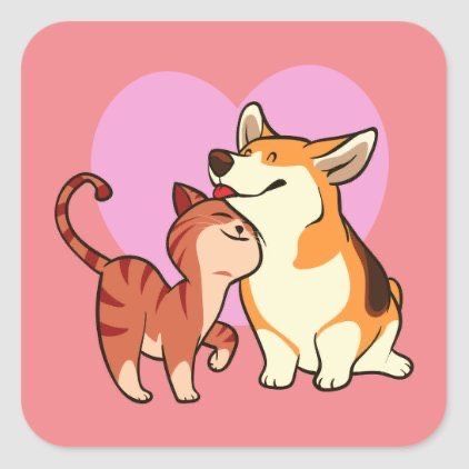 Pet sitting, cazare animale