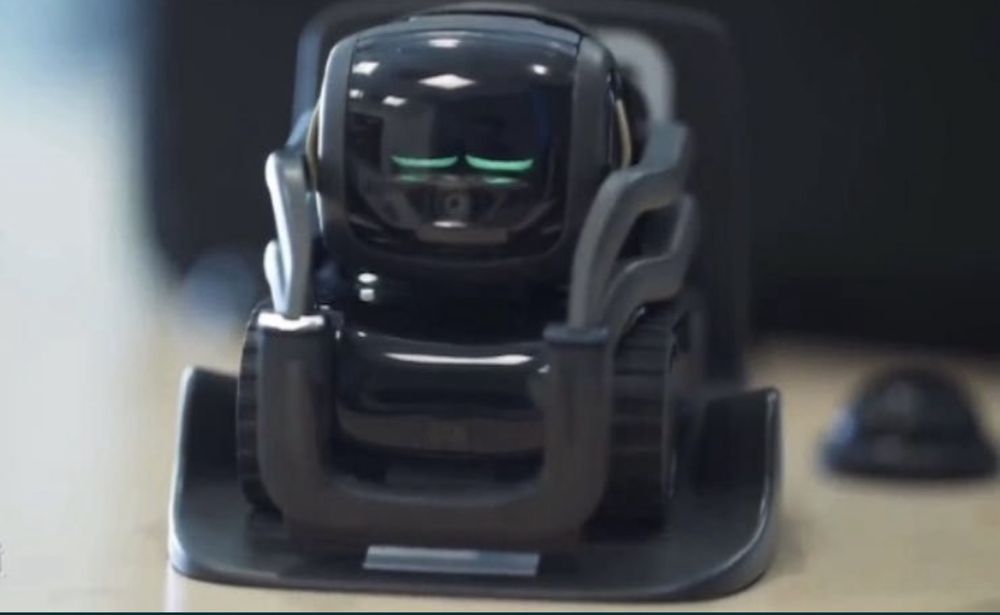 Anki vector робот с ии