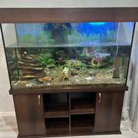 Продам аквариум на 300 литров с рыбами и тумбой