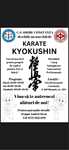 Karate Kyokushin in Constanta