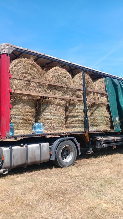 Baloti Rotunzi Fan sau Lucerna min.40.Drept.500.Pomi fructiferi >RO ES