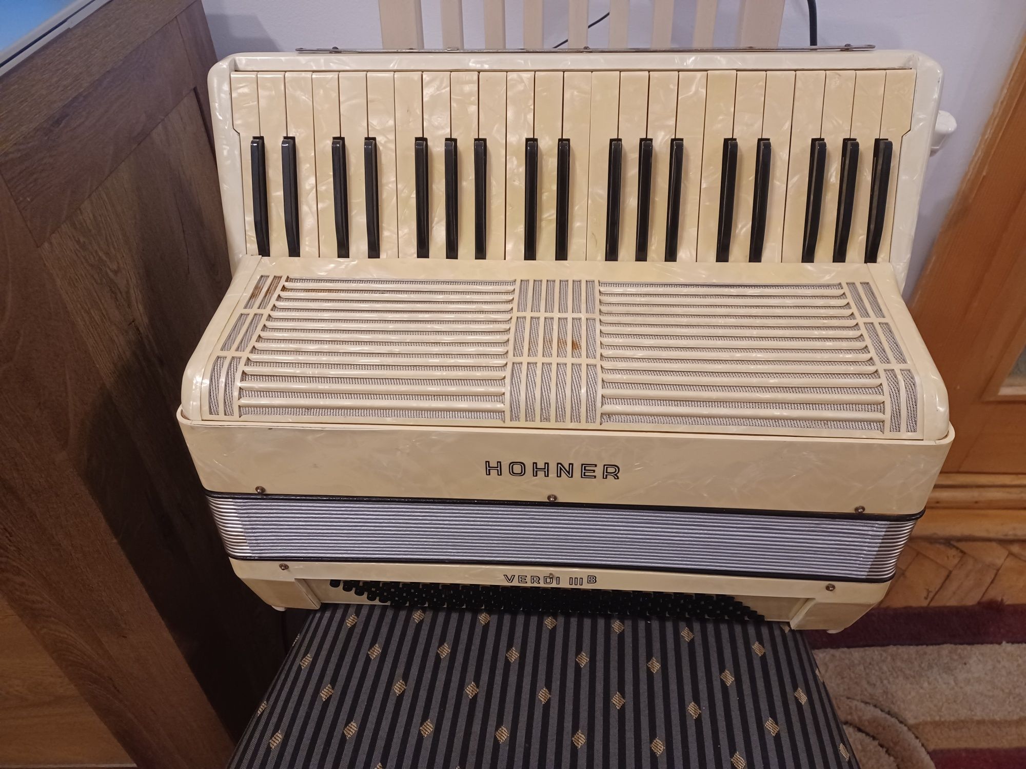 Acordeon hohner verdi lll b.120 de basii.