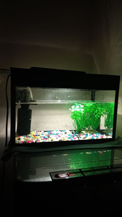 akvarium sotiladi