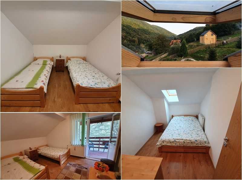 Cabana munte cu ciubar / jacuzzi Valea Ierii Baisoara 8-12 persoane