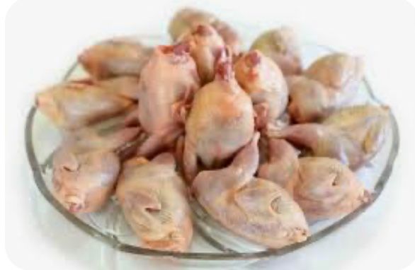 Продаю мясо домашней перепелки