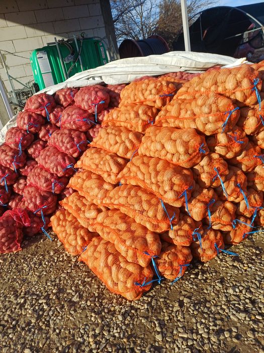 Cartofi consum alb si rosu