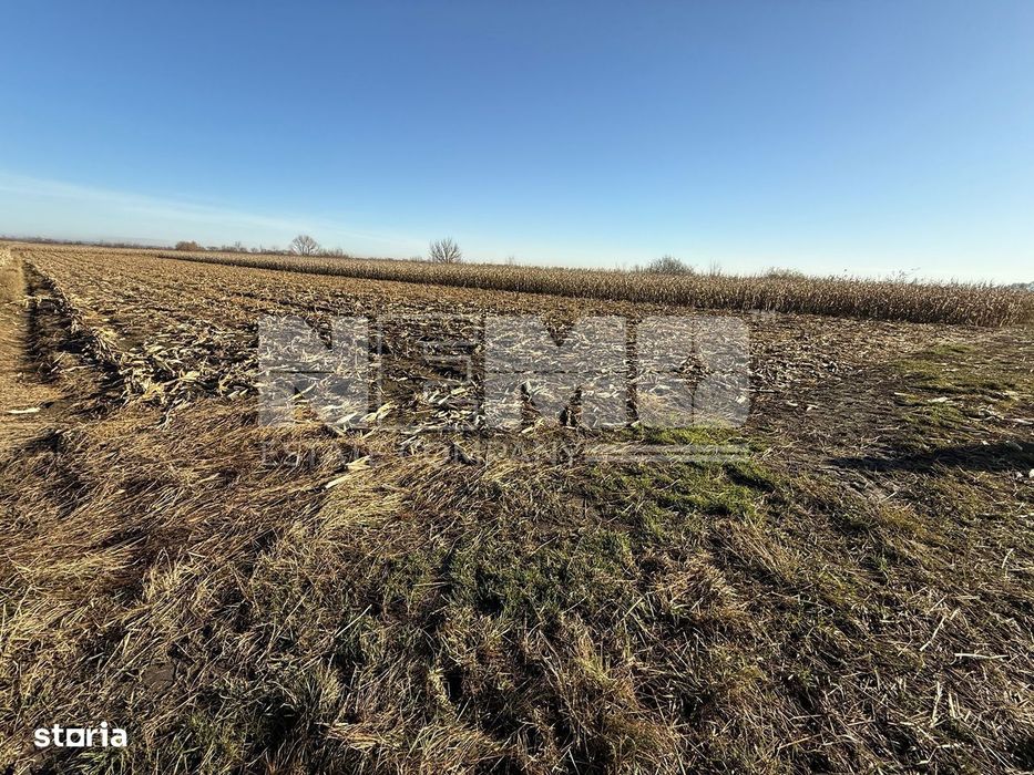 Teren Extravilan  5100 Ari |  Horodnic De Jos  |