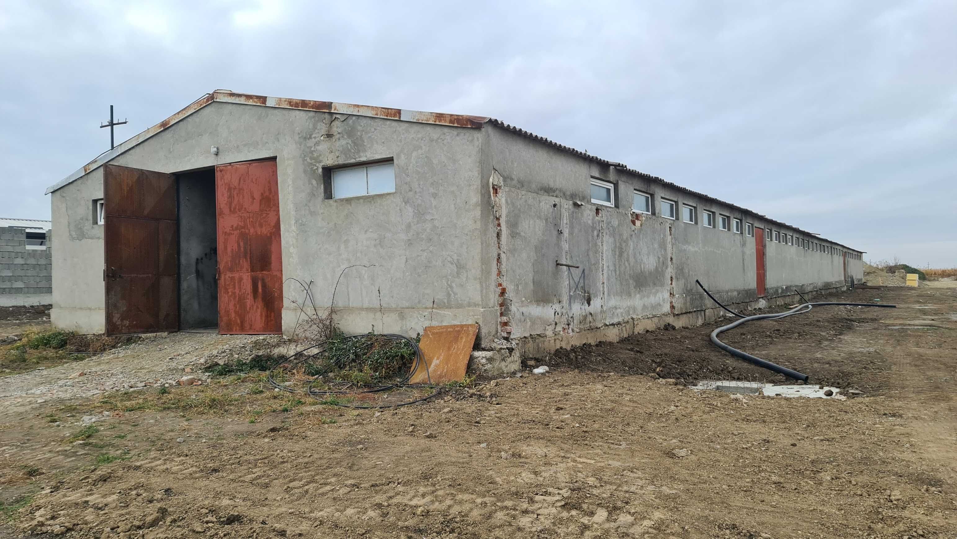 Vand Hala Iasi Horlesti Rediu: 800 mp - 240.000 euro