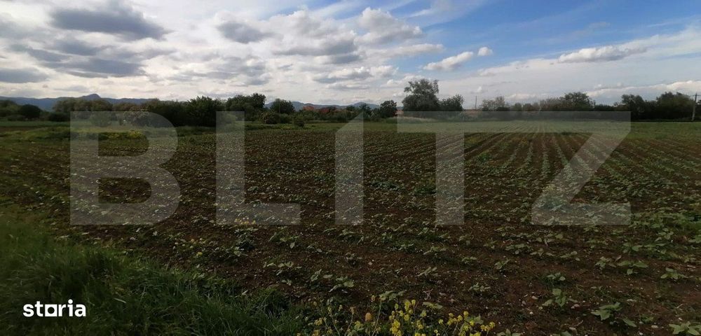 Teren intravilan 5800 mp cu toate utilitatile PUZ hala in Oiejdea