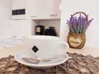 AC. Închiriez apartament lux 2 camere,regim hotelier 250 lei.