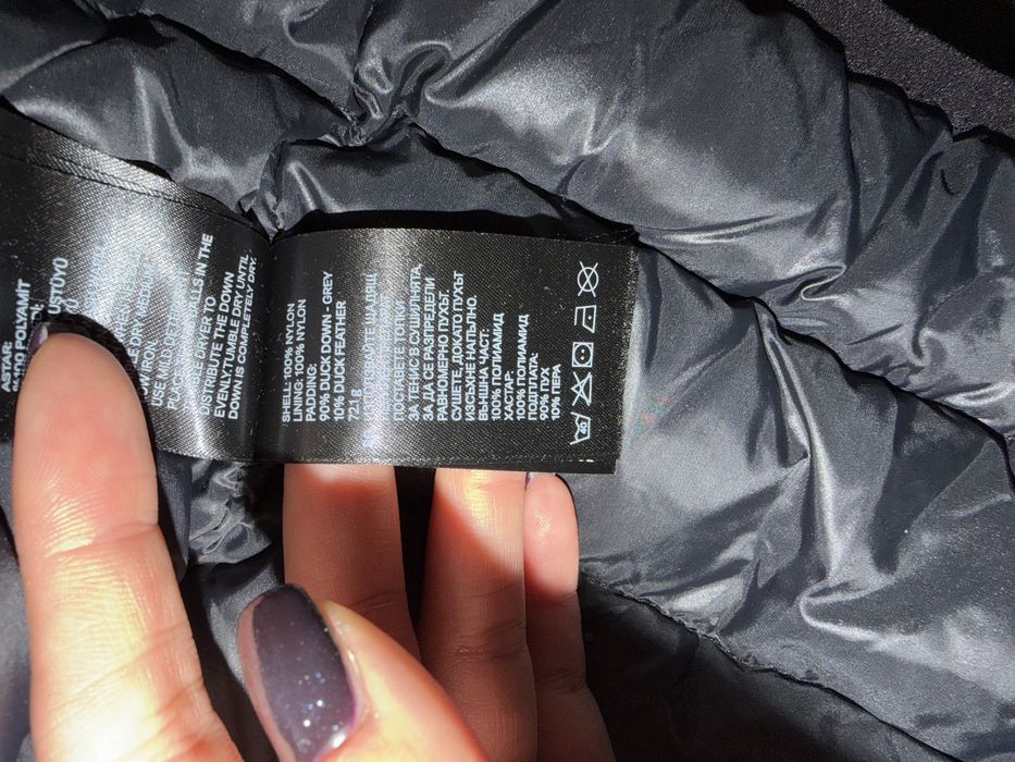 Яке alexander wang and h&m collaboration