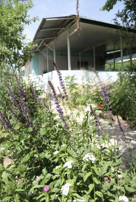 Продаю Дом-Дачу на Таш-море