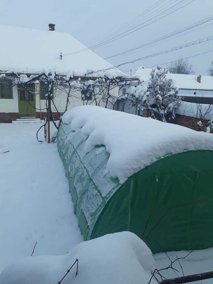 SOLAR-Gradina  Sera Tunel – 2x2-8x20m Transport inclus ab
