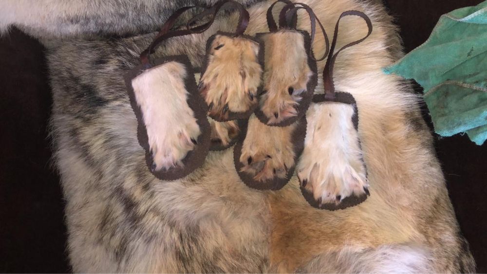 Қасқыр,аю,түлкі терісі