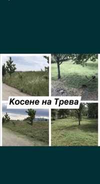 Косене на трева и храсти