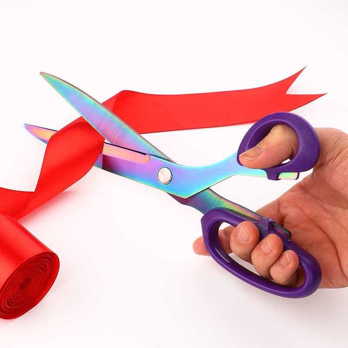 Ножица Color Titan 20 см с дръжка и остриета от неръждаема стомана