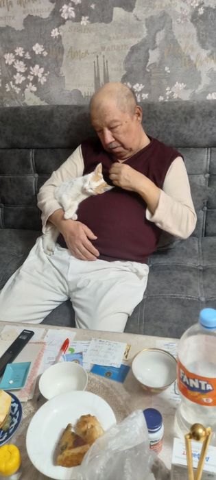 Котята в хорошие руки бесплатно