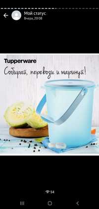 Посуда от Tupperware
