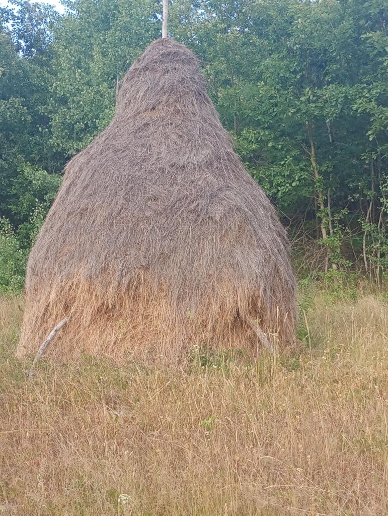 De vânzare fan de gradina