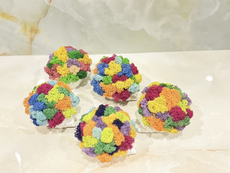 Кашпи с мъх, сапунени и сушени цветя