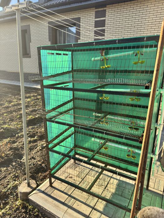 Перепелинная ферма